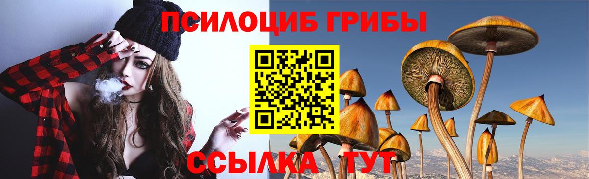 Галлюциногенные грибы Psilocybine cubensis Заинск
